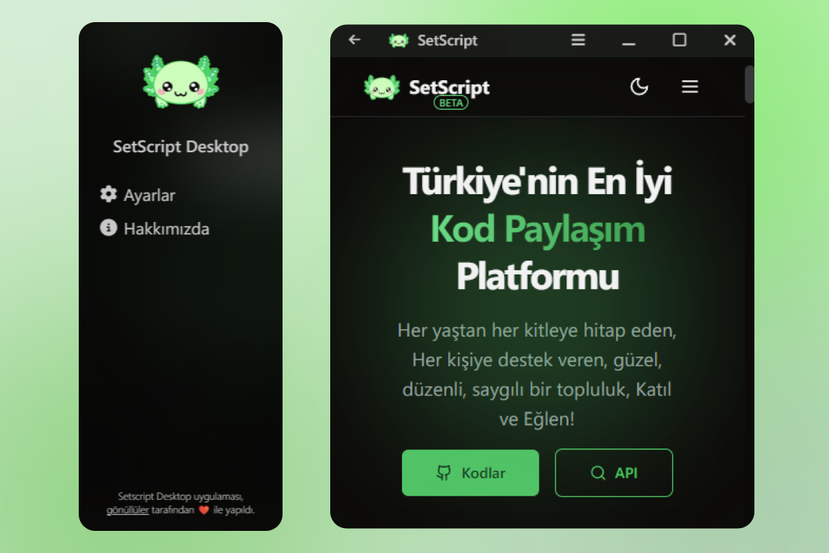 Setscript.com masaüstü uygulaması